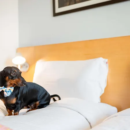 Ibis Hauptbahnhof 3*