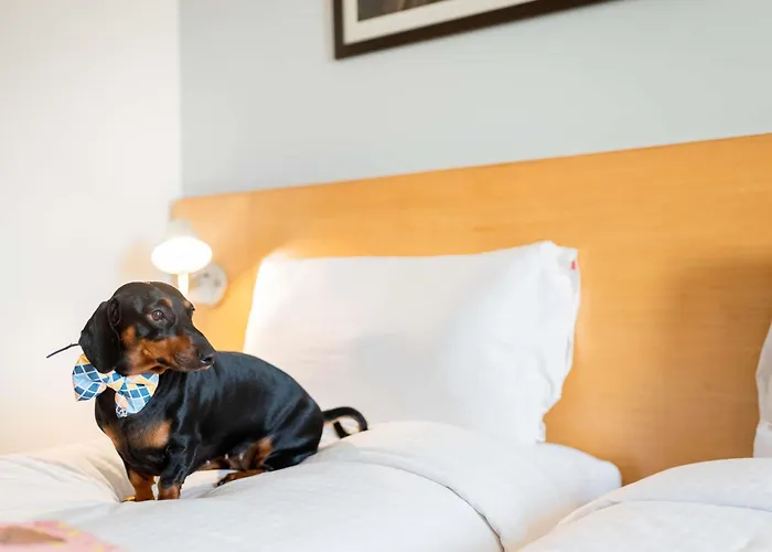 Ibis Hauptbahnhof 3*